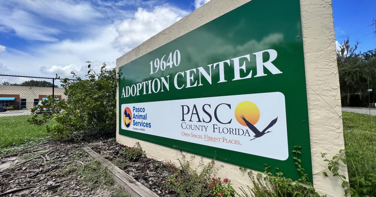 Pasco County Animal Services Photos